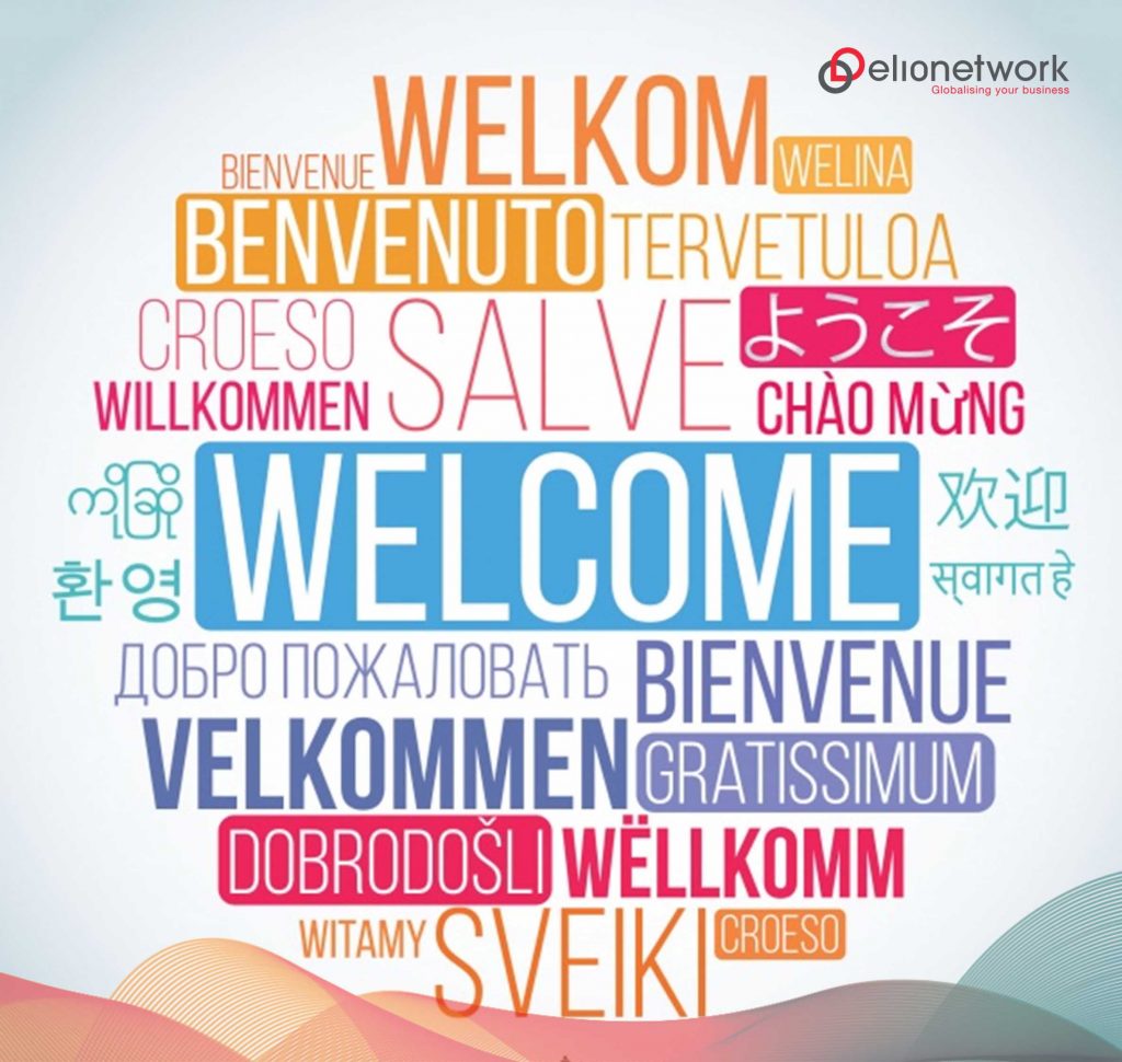 Multilingual usage instruction translations