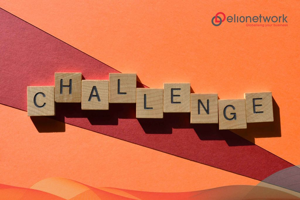 Navigating Challenges in Machine Translation 